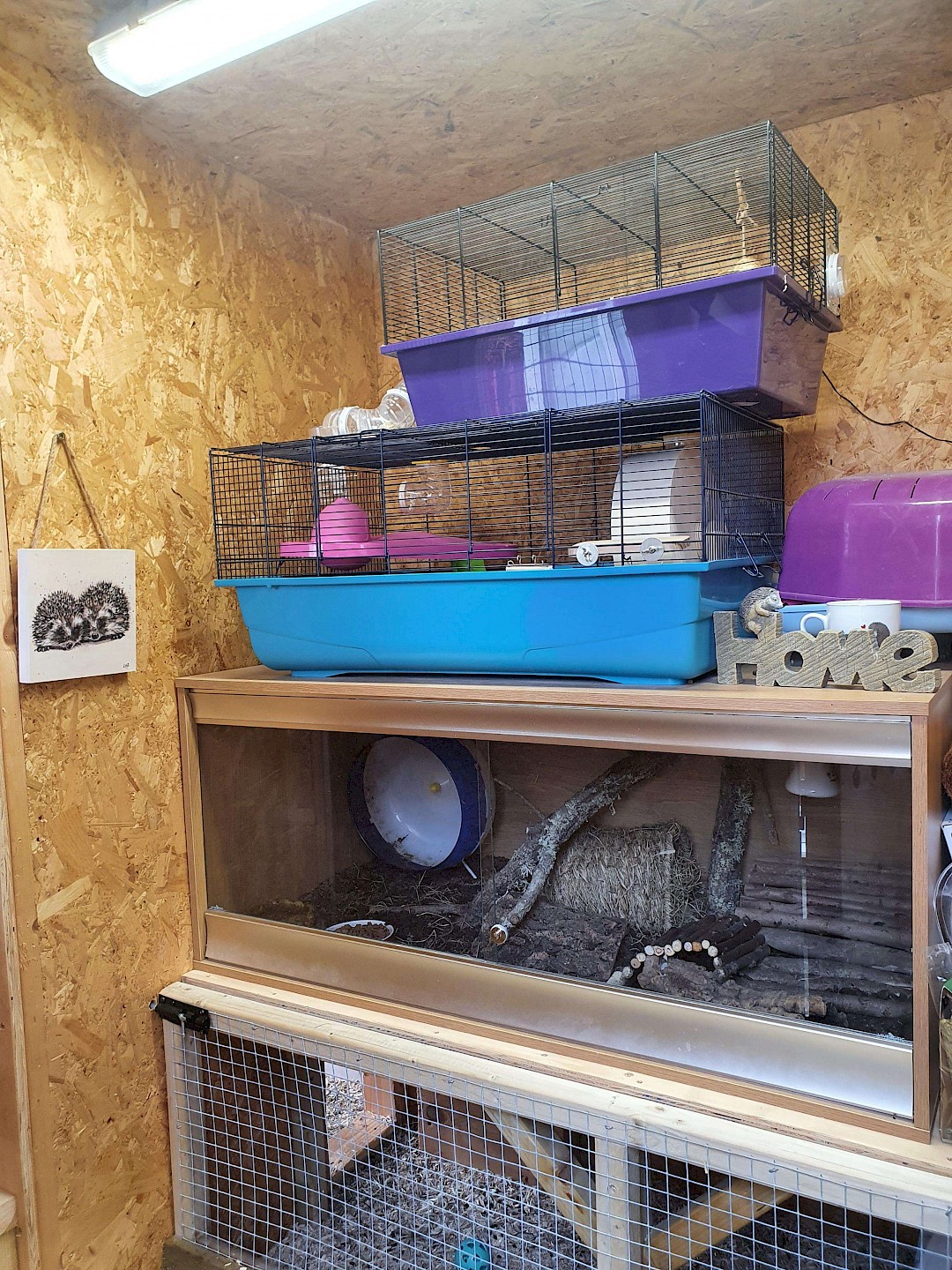 Photo inspiration: Picture Idea: Our Enclosures